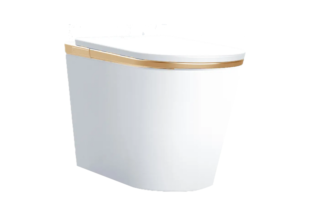 SEEWIN Bidet Toilet Leipzig Pro-Gold with Goldden Seat and Full Features CL5-G