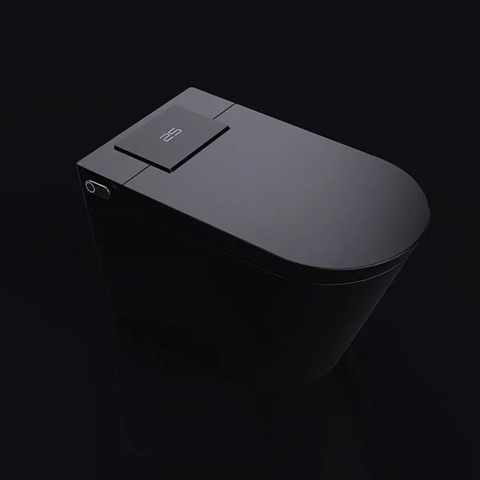 SEEWIN Bidet Toilet Munich Pro-Black with Full Features CM2-G