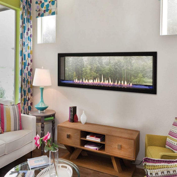 Empire 48" Boulevard See-Through Direct Vent Linear Fireplace