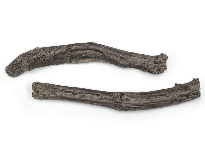 American Fyre Designs Branches