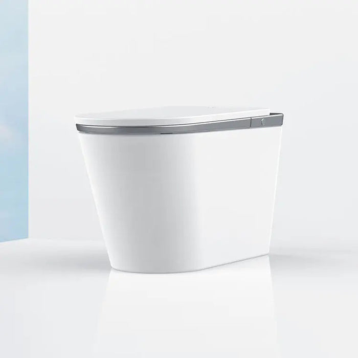 SEEWIN Bidet Toilet Leipzig Pro-SILVER with Silver Seat and Full Features CL-6 Pro