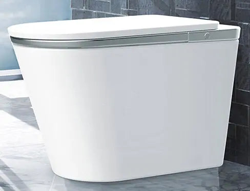 SEEWIN Bidet Toilet Leipzig Pro-SILVER with Silver Seat and Full Features CL-6 Pro