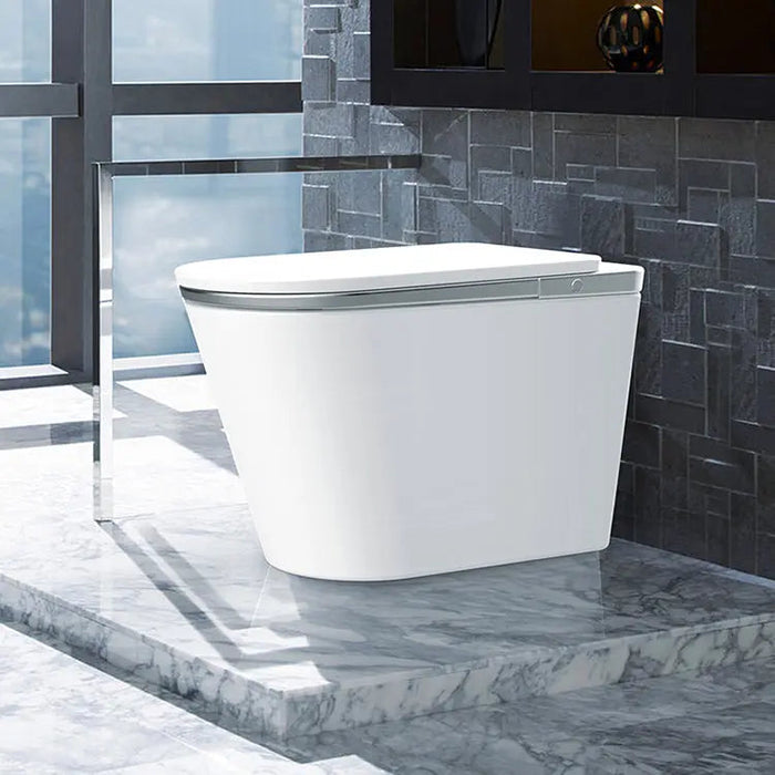SEEWIN Bidet Toilet Leipzig Pro-SILVER with Silver Seat and Full Features CL-6 Pro