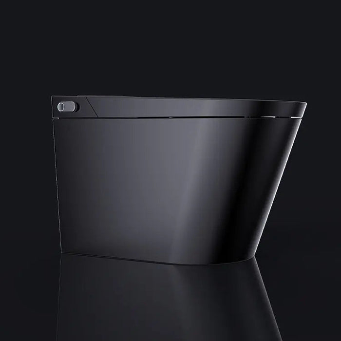 SEEWIN Bidet Toilet Munich Pro-Black with Full Features CM2-G