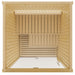 SaunaLife Model X2 Indoor Sauna